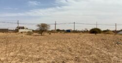 UNE PARCELLE NUE DE 495 M² EN VENTE À NIOKO 2