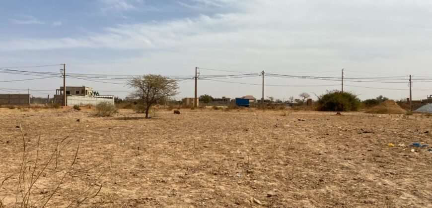 UNE PARCELLE NUE DE 495 M² EN VENTE À NIOKO 2