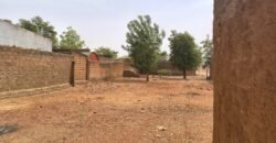 TERRAIN EXCEPTIONNEL 600 M² EN BOUT DE ZONE À SOMGANDÉ