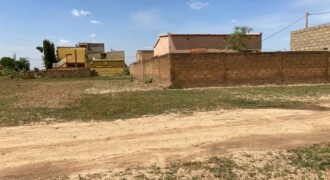 PARCELLE NUE DE 300 M² EN VENTE À BASSINKO