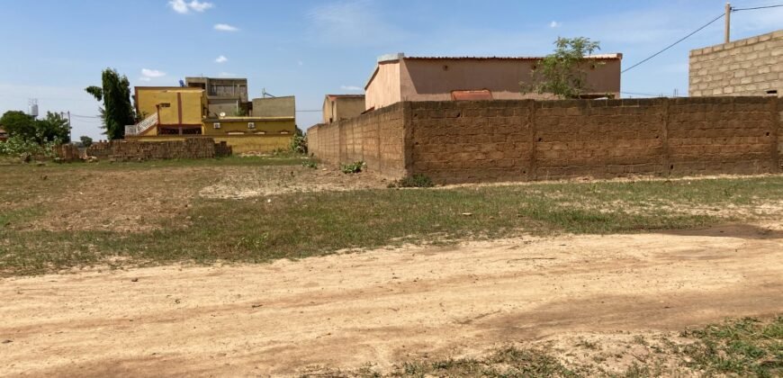 PARCELLE NUE DE 300 M² EN VENTE À BASSINKO