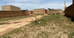 PARCELLE NUE DE 300 M² EN VENTE À BASSINKO