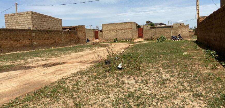 PARCELLE NUE DE 300 M² EN VENTE À BASSINKO
