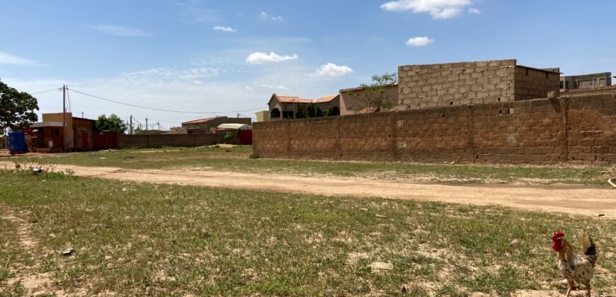 PARCELLE NUE DE 300 M² EN VENTE À BASSINKO
