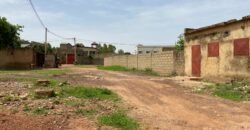 DEUX PARCELLES JUMELÉES DE 600 M² À TENGANDOGO