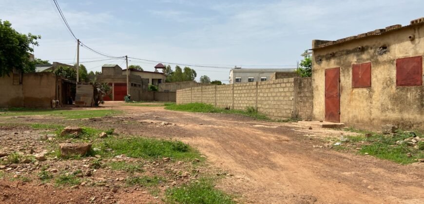 DEUX PARCELLES JUMELÉES DE 600 M² À TENGANDOGO