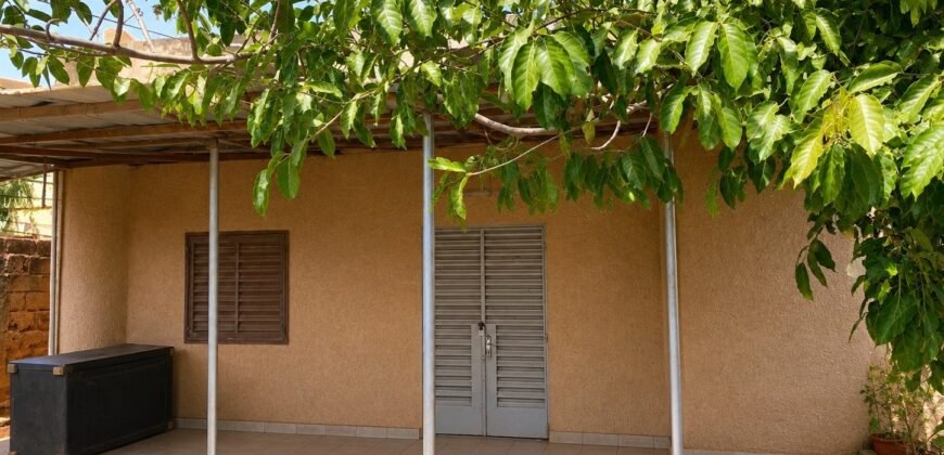 TERRAIN DE 300 M² AVEC DEUX MINIVILLAS AU QUARTIER KOLOGH-NABA EN VENTE