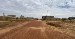 DEUX PARCELLES JUMELÉES DE 480 M² EN VENTE DANS LA VILLE YENNENGA DE KOUBA