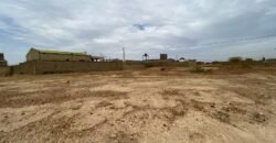 DEUX PARCELLES JUMELÉES DE 480 M² EN VENTE DANS LA VILLE YENNENGA DE KOUBA