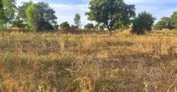 TERRAIN DE 8 000 M² – PROXIMITÉ PÉAGE DU CONTOURNEMENT DE KOUBRI – À 300 M DU GOUDRON