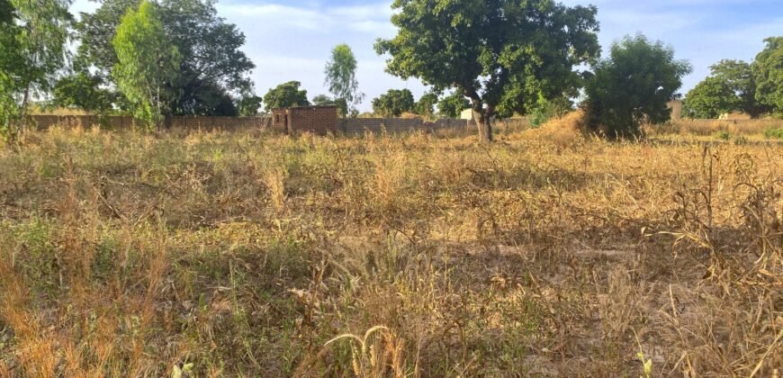 TERRAIN DE 8 000 M² – PROXIMITÉ PÉAGE DU CONTOURNEMENT DE KOUBRI – À 300 M DU GOUDRON