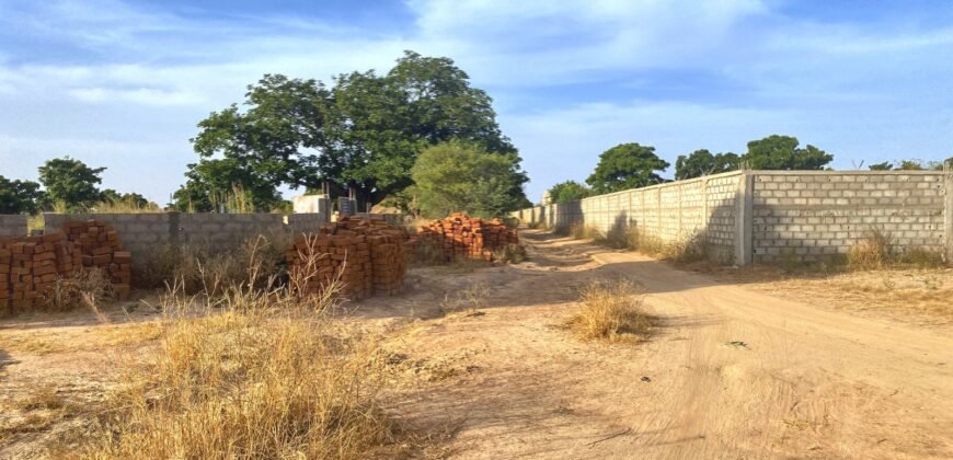 TERRAIN DE 8 000 M² – PROXIMITÉ PÉAGE DU CONTOURNEMENT DE KOUBRI – À 300 M DU GOUDRON