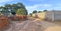 TERRAIN DE 8 000 M² – PROXIMITÉ PÉAGE DU CONTOURNEMENT DE KOUBRI – À 300 M DU GOUDRON