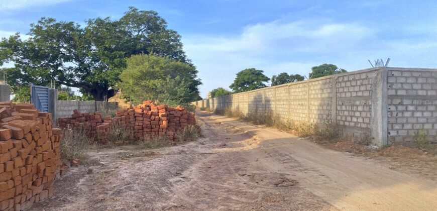 TERRAIN DE 8 000 M² – PROXIMITÉ PÉAGE DU CONTOURNEMENT DE KOUBRI – À 300 M DU GOUDRON