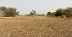 PARCELLE NUE TYPE PAN COUPÉ DE 253 M² EN VENTE À KOUBA