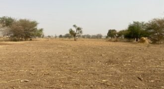 PARCELLE NUE TYPE PAN COUPÉ DE 253 M² EN VENTE À KOUBA