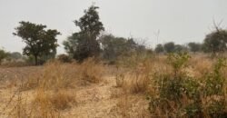PARCELLE NUE TYPE PAN COUPÉ DE 253 M² EN VENTE À KOUBA
