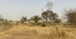 PARCELLE NUE TYPE PAN COUPÉ DE 253 M² EN VENTE À KOUBA