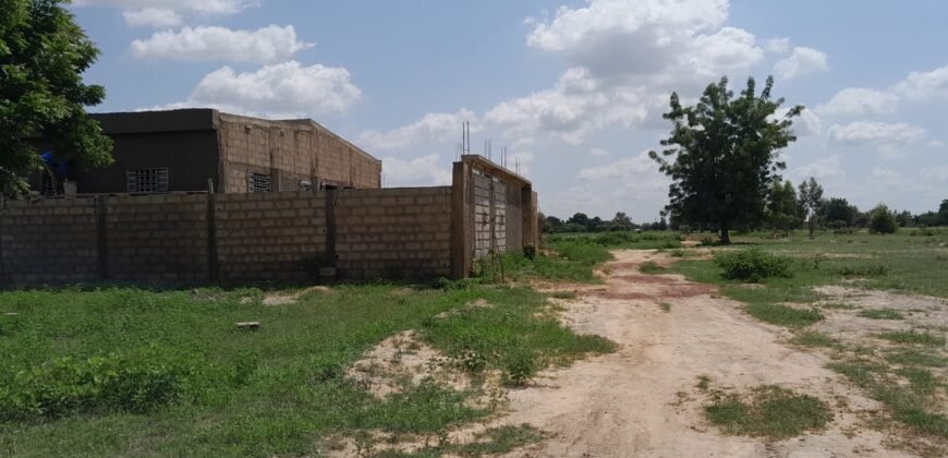 PARCELLE NUE DE 400 M² EN VENTE À BASSINKO