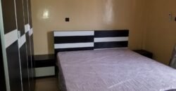 APPARTEMENT DE TYPE F3 MEUBLE A LOUER A OUAGA2000 ZONE C