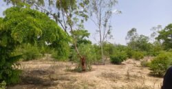 GRAND TERRAIN DE 22 HECTARES EN VENTE À KOUBRI – TANVI NAKAMTENGA