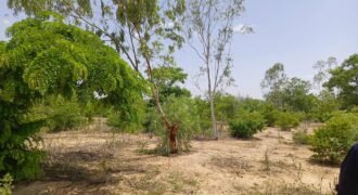 GRAND TERRAIN DE 22 HECTARES EN VENTE À KOUBRI – TANVI NAKAMTENGA