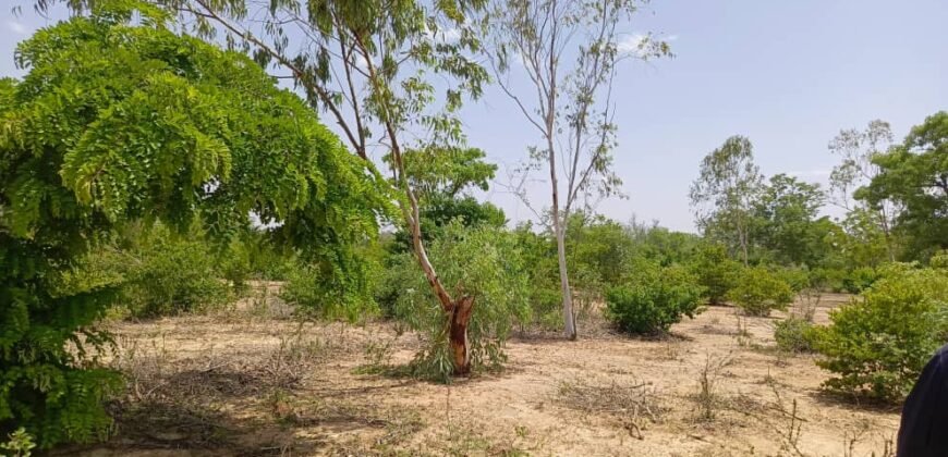 GRAND TERRAIN DE 22 HECTARES EN VENTE À KOUBRI – TANVI NAKAMTENGA