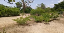 GRAND TERRAIN DE 22 HECTARES EN VENTE À KOUBRI – TANVI NAKAMTENGA