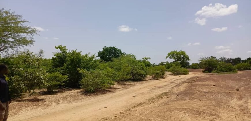 GRAND TERRAIN DE 22 HECTARES EN VENTE À KOUBRI – TANVI NAKAMTENGA