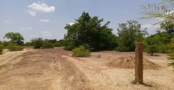 GRAND TERRAIN DE 22 HECTARES EN VENTE À KOUBRI – TANVI NAKAMTENGA