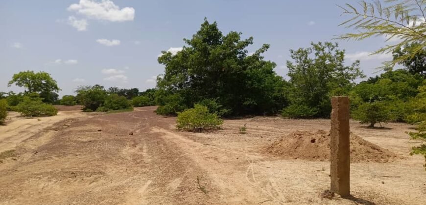 GRAND TERRAIN DE 22 HECTARES EN VENTE À KOUBRI – TANVI NAKAMTENGA