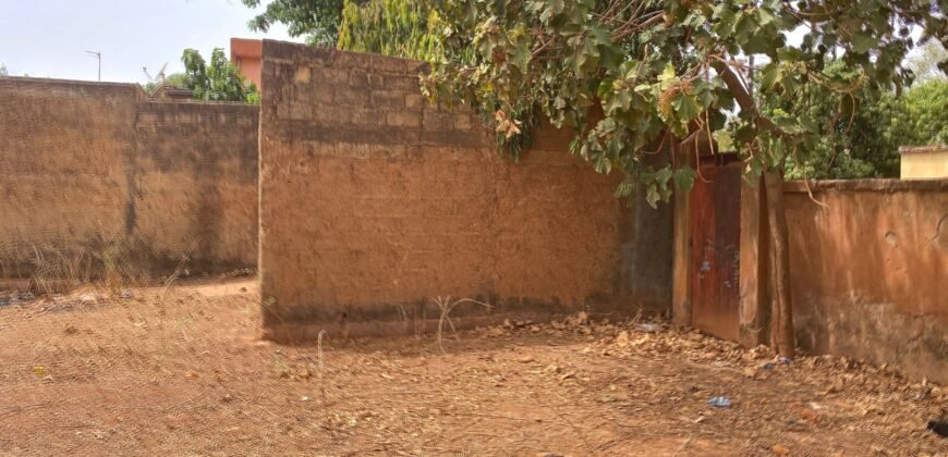 TERRAIN EXCEPTIONNEL 600 M² EN BOUT DE ZONE À SOMGANDÉ