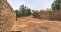 TERRAIN EXCEPTIONNEL 600 M² EN BOUT DE ZONE À SOMGANDÉ