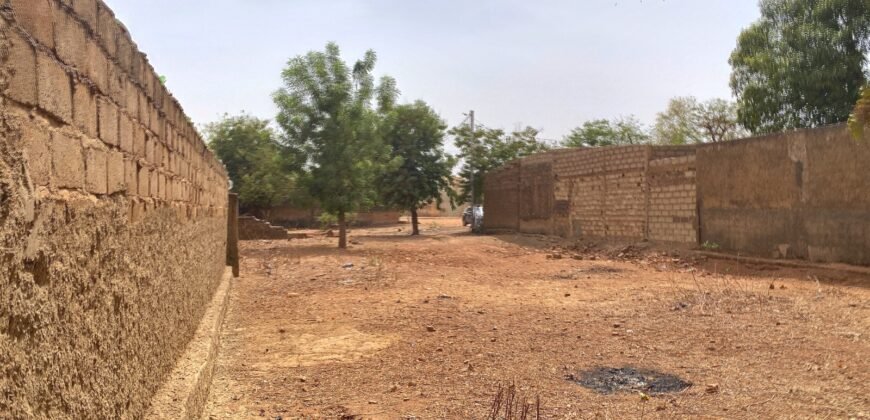 TERRAIN EXCEPTIONNEL 600 M² EN BOUT DE ZONE À SOMGANDÉ