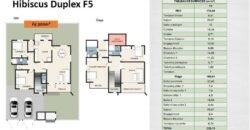 HIBISCUS : DUPLEX F5 SUR 300 M² EN VENTE A KOUBA