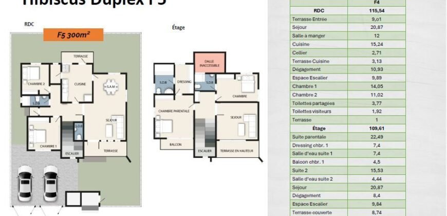 HIBISCUS : DUPLEX F5 SUR 300 M² EN VENTE A KOUBA