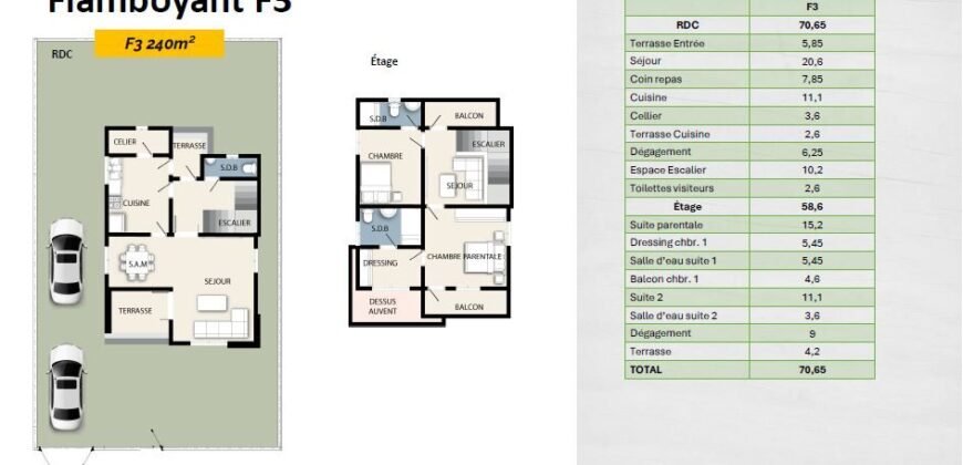 FLAMBOYANT: DUPLEX F3/F4/F5 SUR 240 M² EN VENTE A KOUBA