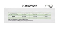FLAMBOYANT: DUPLEX F3/F4/F5 SUR 240 M² EN VENTE A KOUBA
