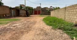 DEUX PARCELLES JUMELÉES DE 600 M² À TENGANDOGO