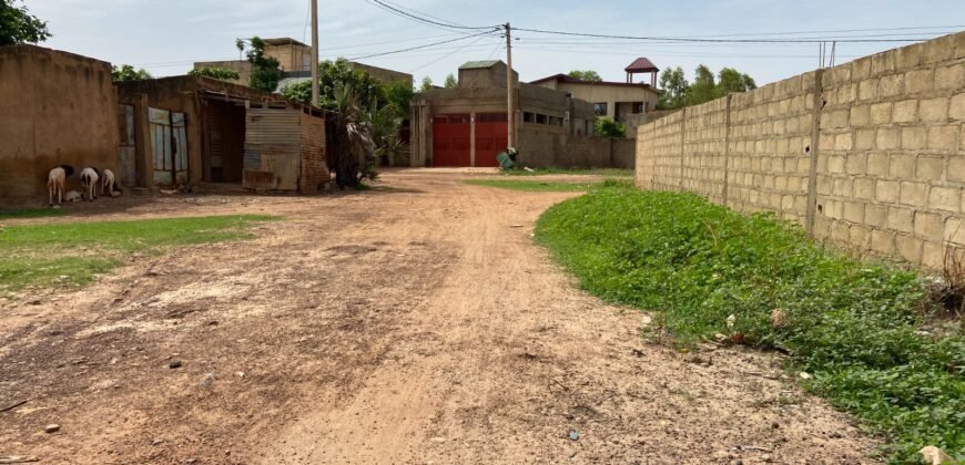DEUX PARCELLES JUMELÉES DE 600 M² À TENGANDOGO