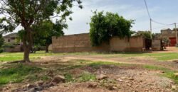 DEUX PARCELLES JUMELÉES DE 600 M² À TENGANDOGO
