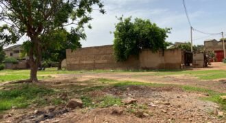 DEUX PARCELLES JUMELÉES DE 600 M² À TENGANDOGO