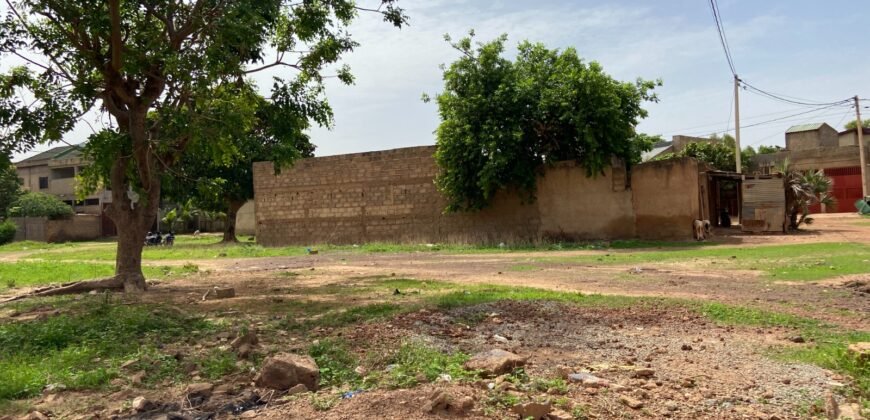 DEUX PARCELLES JUMELÉES DE 600 M² À TENGANDOGO