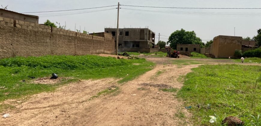 DEUX PARCELLES JUMELÉES DE 600 M² À TENGANDOGO