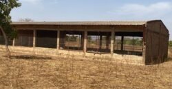 FERME D’1 HECTARE À VENDRE À SAPONÉ