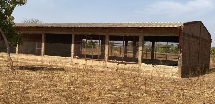FERME D’1 HECTARE À VENDRE À SAPONÉ