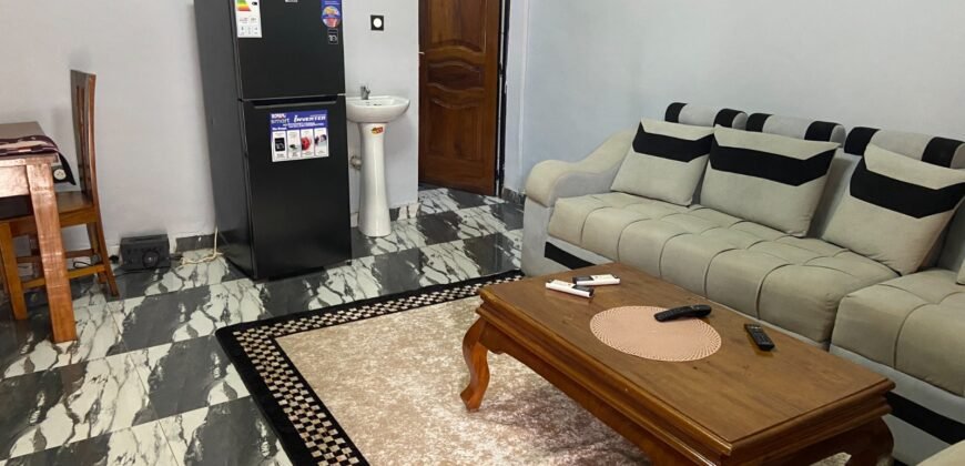 DEUX MINI-VILLAS JUMELÉES MEUBLEES NOUVELLE CONSTRUCTION SUR DE TYPE F3 EN LOCATION AU QUARTIER GARGHIN