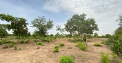 UN GRAND TERRAIN DE 1,46 HECTARE EN VENTE À SAABA