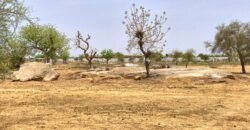 TERRAIN DE 7241 M2 TYPE PAN COUPE EN VENTE A KARPALA