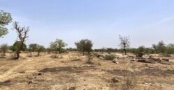 TERRAIN DE 7241 M2 TYPE PAN COUPE EN VENTE A KARPALA